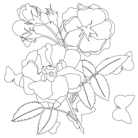 Rose Vintage Botanical Flower Coloring Page